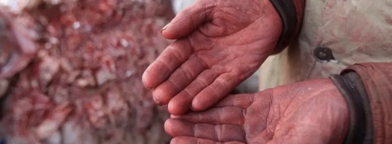 Image: worker's dyed hands. Title: Decoding a Corporate Response: The Carter’s Edition
